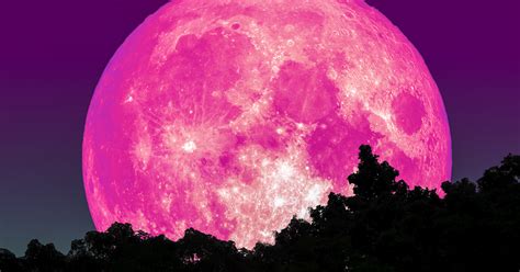 Super Pink Moon Coming In April - Here’s How To See It