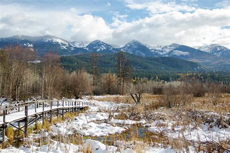 Montana Winter Photograph by Amy Sorvillo - Pixels