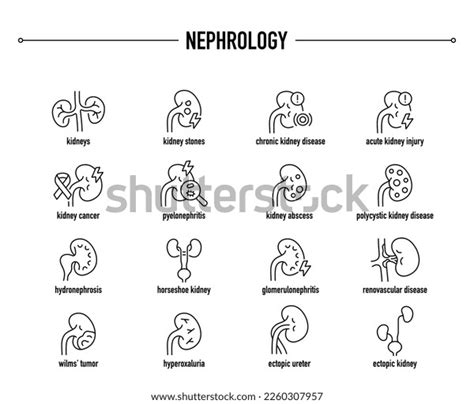 Common Nephrology Diseases Vector Icon Set Stock Vector (Royalty Free ...