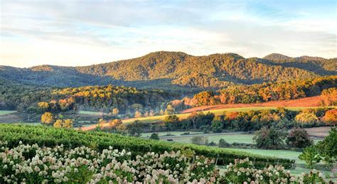 Top Charlottesville, VA Attractions | Historical Sites & Wineries