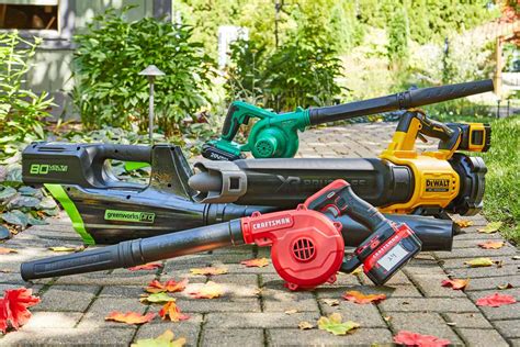 The 7 Best Cordless Leaf Blowers of 2024