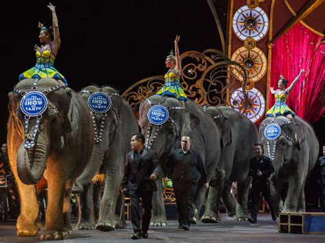 Ringling Bros. Circus Holds Final Shows Featuring Elephants | NCPR News