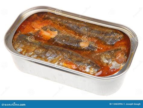 Tinned Sardines stock photo. Image of sardine, canned - 13465996