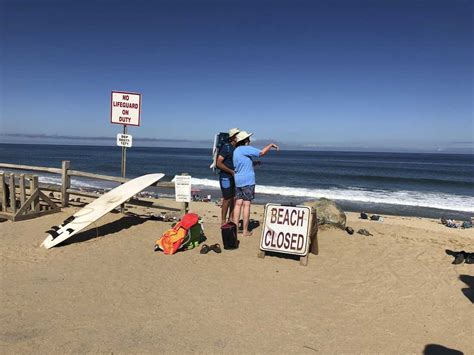 Swimmer Dead After Shark Attack On Cape Cod : NPR