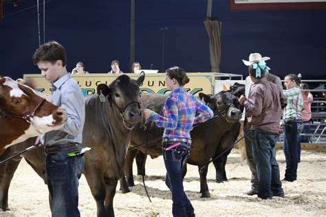 Iowa State Fair 2023 Livestock Show Schedule - Image to u