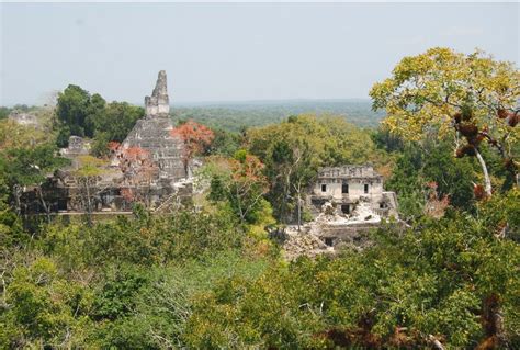 Drought and Ancient Maya Practices Spelled Collapse of Tikal, Says ...