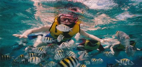 10 Destinations in the Caribbean for a Unique Snorkeling Experience ...