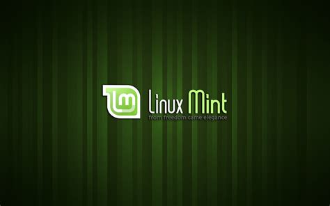 Mint Cinnamon Desktop