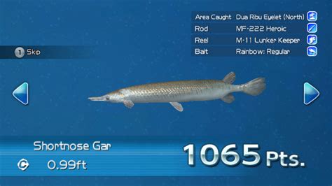 Shortnose Gar | Wii Fishing Resort Wiki | Fandom