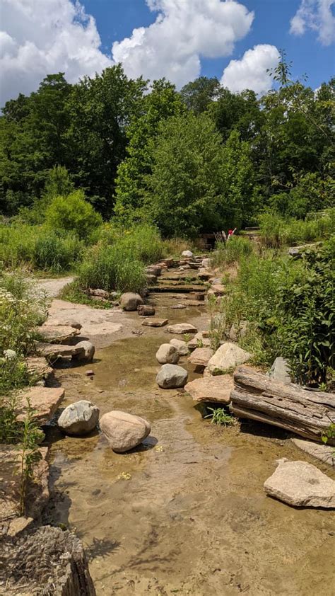 The Nature PlayScape at the Cincinnati Nature Center (Rowe Woods)