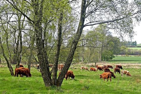 Scottish farming: There is more common ground than we might think