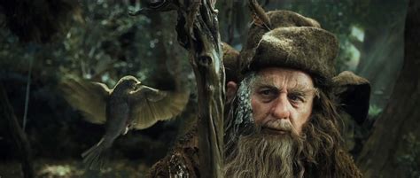 In a Hole in the Ground: In Defense of Radagast the Brown