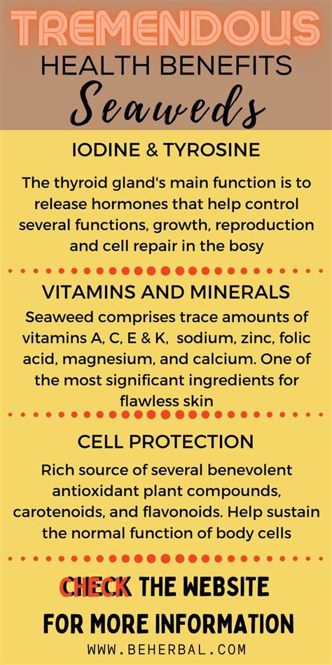 Seaweed Supplements Offer Tremendous Health Benefits | Health benefits ...