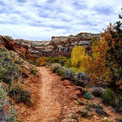 Hike to Lower Calf Creek Falls, Calf Creek Campground, Utah