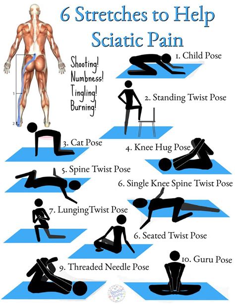 Sciatic Stretches | Sciatic pain, Sciatic nerve, Nerve pain relief