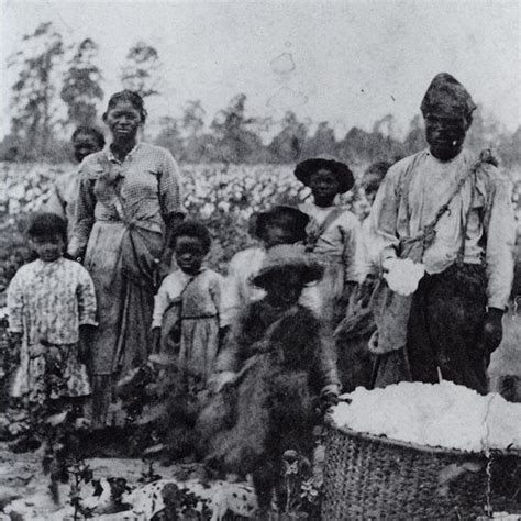 How America was built on slavery: Those roots can still be felt today ...