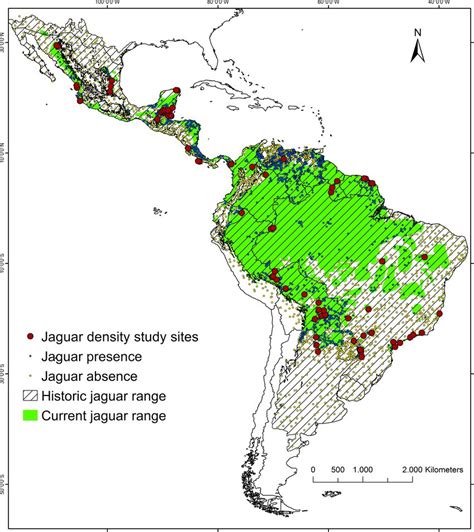 Study area map. Indicated are historical and current jaguar range (see ...