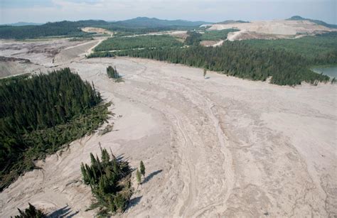 Tailings pond breach: Panel to conduct independent probe in B.C. | CTV News