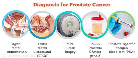 Pathophysiology Description | Prostate Cancer