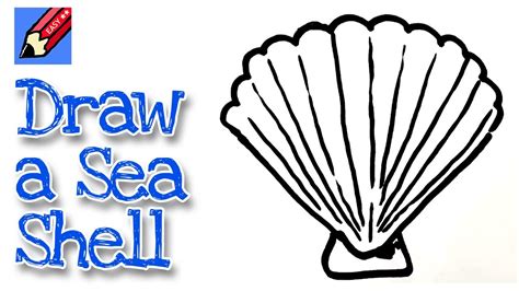 Sea Shell Drawing Easy - Pen Drawing Of A Shell | Bodbocwasuon