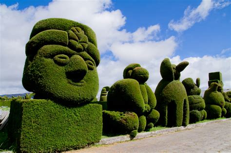 53 Stunning Topiary Trees, Gardens, Plants and Other Shapes