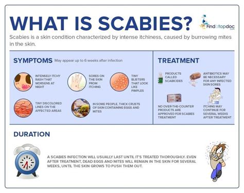 Scabies: Symptoms, Causes, Treatment, and Diagnosis | FindATopDoc