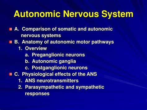 PPT - Autonomic Nervous System PowerPoint Presentation, free download ...