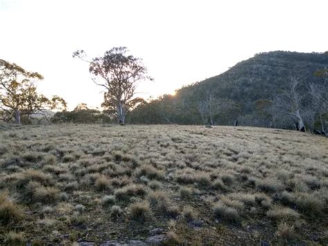 2023 Best Waterfall Trails in Mount Buller | AllTrails