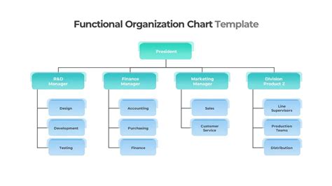 Functional Organizational Chart Template