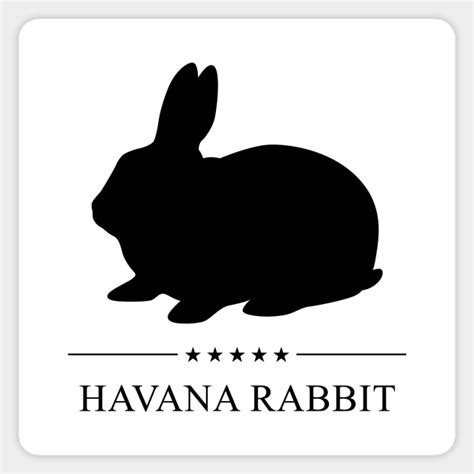 Havana Rabbit Black Silhouette by millersye | Havana rabbit, Rabbit ...