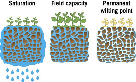 Principles of Irrigation and Scheduling for Vegetable Crops in Georgia ...