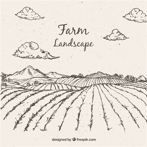 Premium Vector | Sketches farming landscape