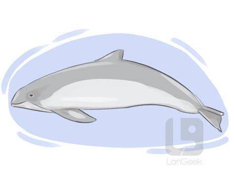 Porpoise Meaning