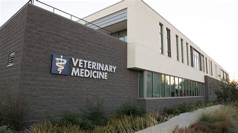 Veterinary Medicine | University of California Health