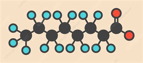 Perfluorooctanoic acid molecule - Stock Image - F016/6355 - Science ...