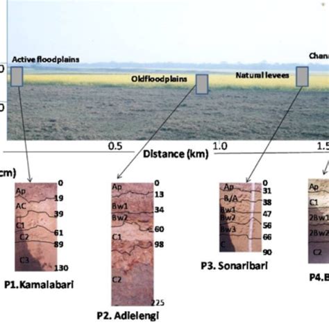 Location Map of Majuli island | Download Scientific Diagram