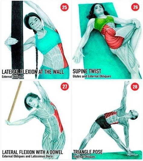 Latissimus dorsi stretch - gpsvirt