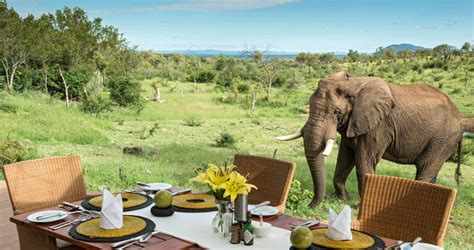 African Safari Holiday Destinations