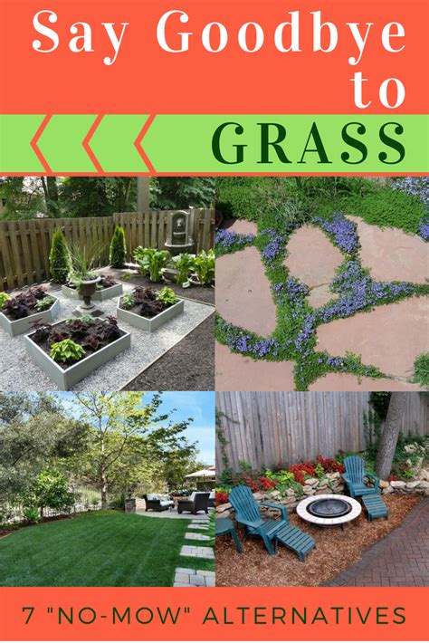 31 Top Images Alternatives To Grass In Backyard / Alternatives To Grass ...