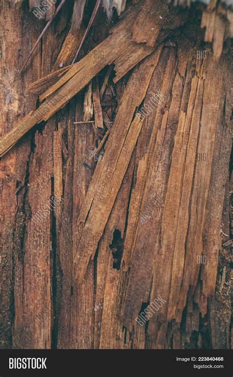 Splintered Wood Image & Photo (Free Trial) | Bigstock