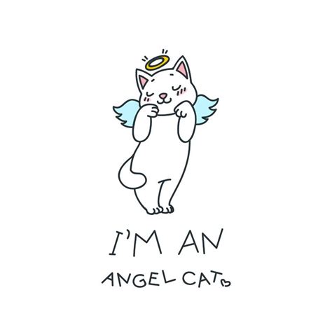 I'm an angel cat | Cat illustration, Angel cat, Wings illustration