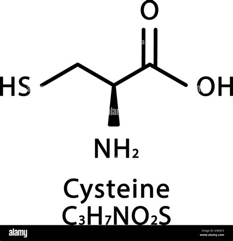 Cysteine molecular structure. Cysteine skeletal chemical formula ...