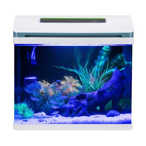 Best 5 Gallon Fish Tank for Seasoned & Beginners - AquariumPerfect