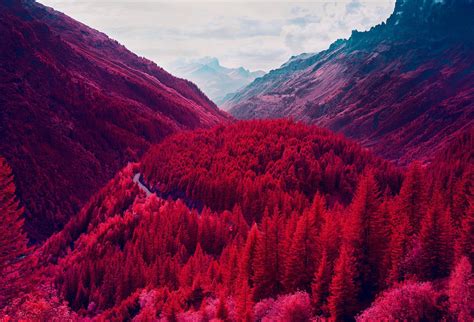 Infrared Photography Turns Swiss Landscapes into Pink Dream Worlds