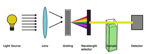 uv vis spectroscopy principle - Rose MacDonald