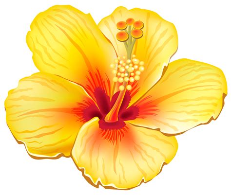 Free Tropical Flower Png, Download Free Tropical Flower Png png images ...