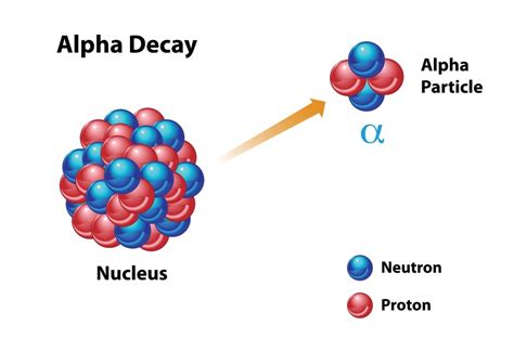 Why Is The Term "Half-Life" Used To Measure Radioactivity? » ScienceABC