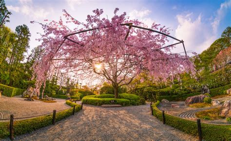 10 Glorious Gardens of Kyoto - Travel Caffeine