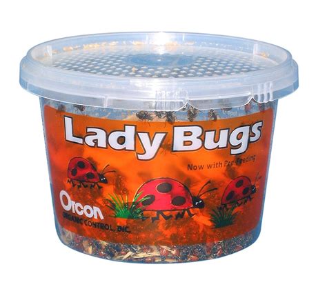 Live Ladybugs, Approximately 1,500 Count | Incredible...