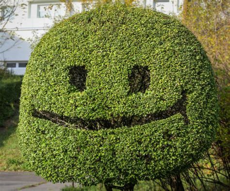 380+ Topiary Funny Stock Photos, Pictures & Royalty-Free Images - iStock